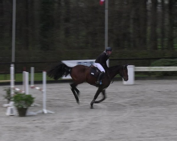 Reitturnier Klein Roscharden 2023