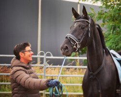 Pferd Miraval (Deutsches Sportpferd, 2019, von Maracana)