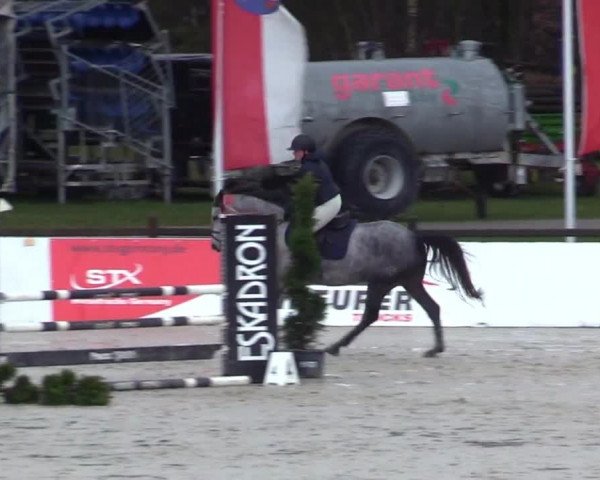 Reitturnier Westergellersen 2023