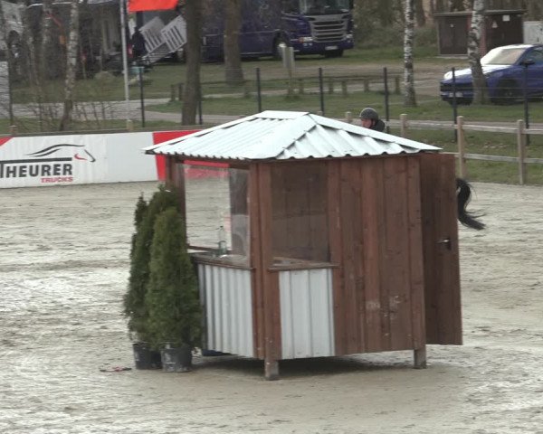 Reitturnier Westergellersen 2023