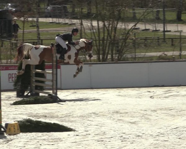 Reitturnier Westergellersen 2023