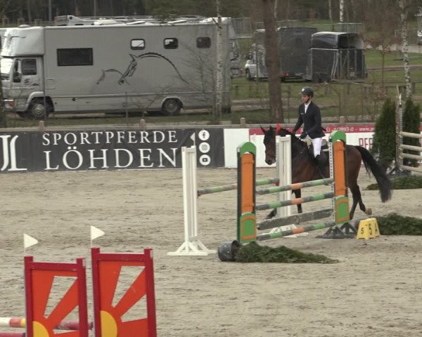 Reitturnier Westergellersen 2023