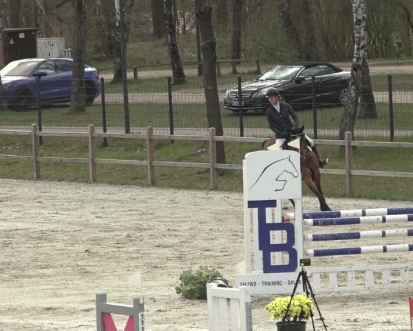 Reitturnier Westergellersen 2023