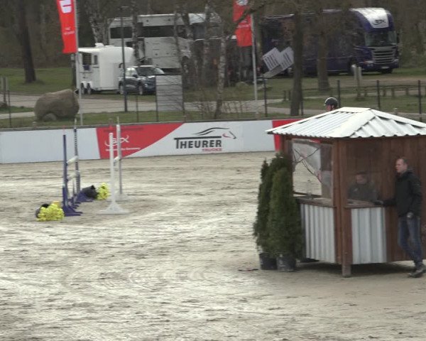 Reitturnier Westergellersen 2023