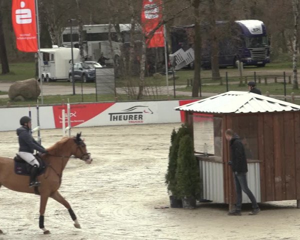 Reitturnier Westergellersen 2023