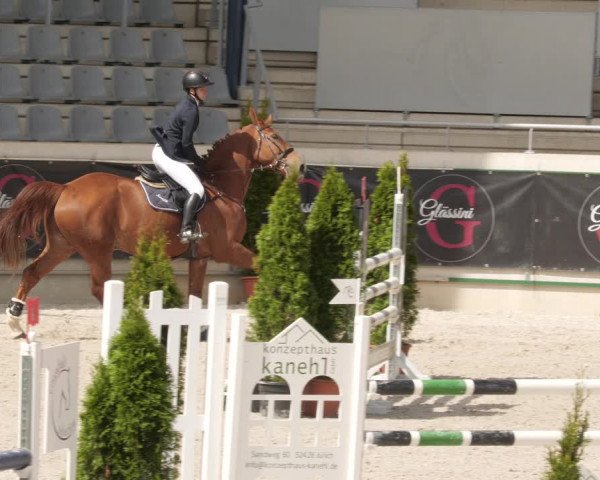 Reitturnier Aachen 2023