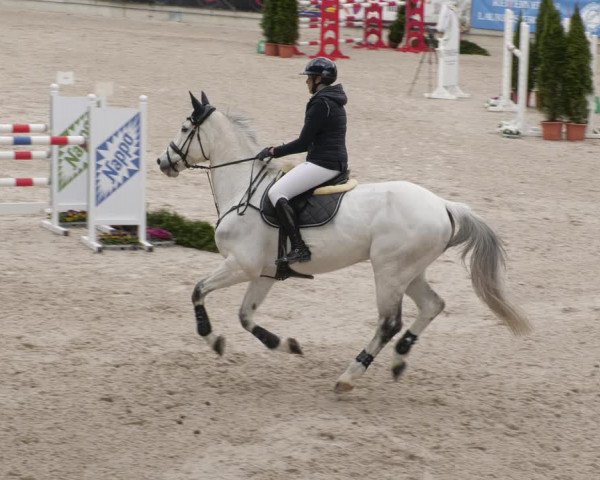 Reitturnier Aachen 2023