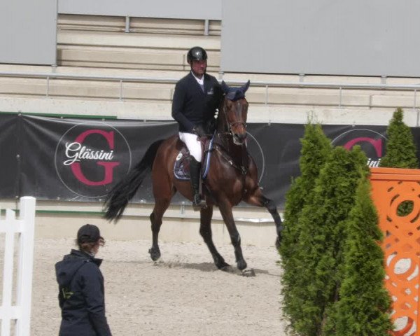 Reitturnier Aachen 2023
