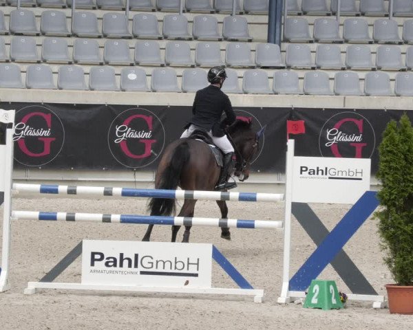 Reitturnier Aachen 2023