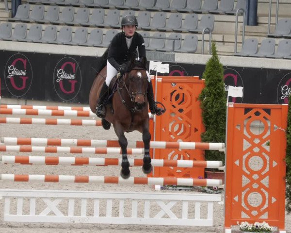 Reitturnier Aachen 2023