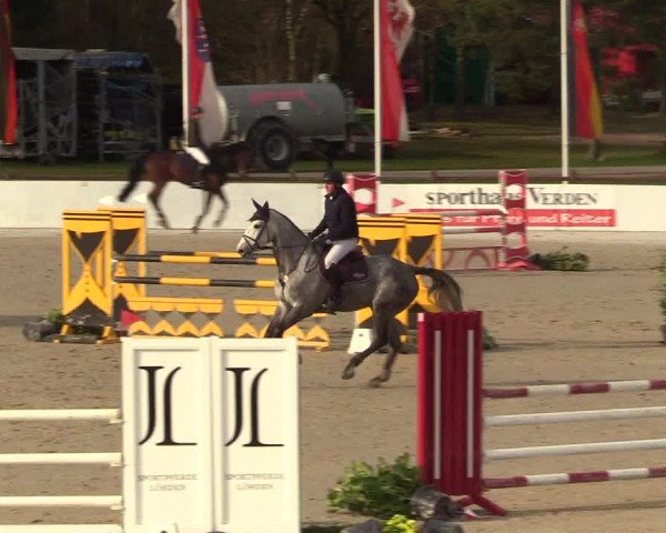 Reitturnier Westergellersen 2023
