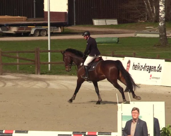 Reitturnier Westergellersen 2023