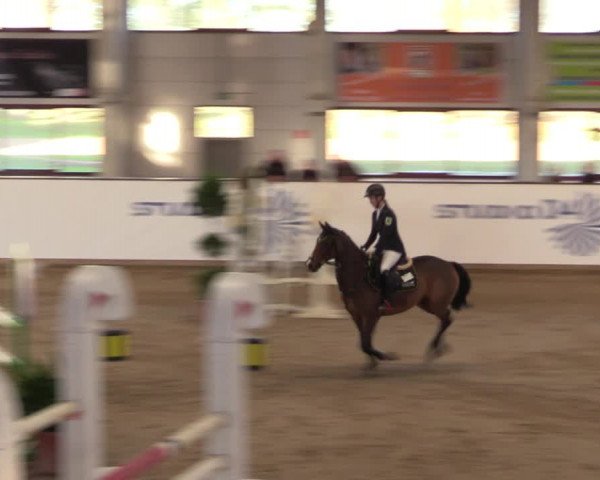 Reitturnier Prussendorf 2021