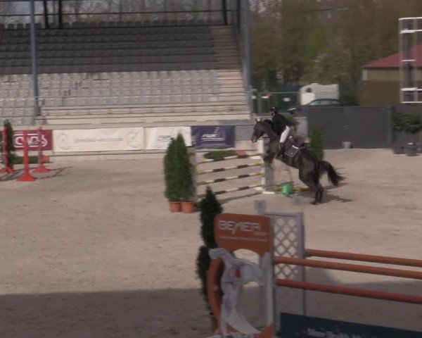 Reitturnier Aachen 2023
