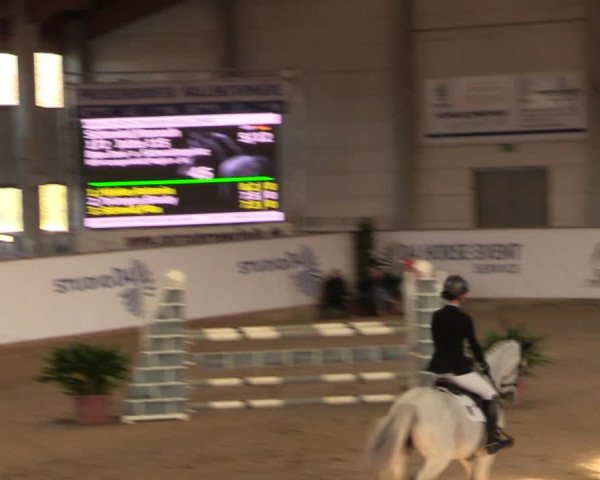 Reitturnier Prussendorf 2021