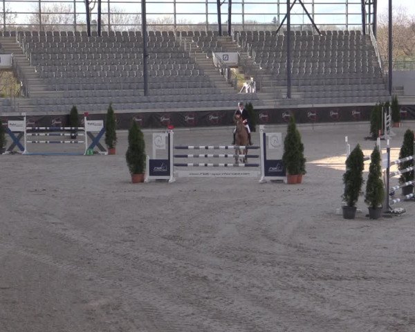 Reitturnier Aachen 2023