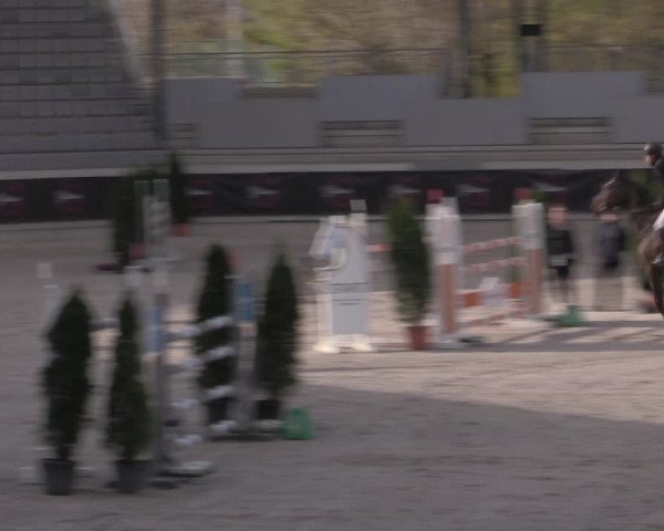 Reitturnier Aachen 2023