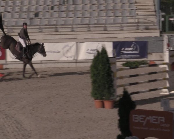 Reitturnier Aachen 2023