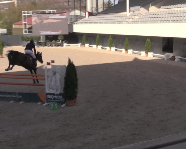 Reitturnier Aachen 2023