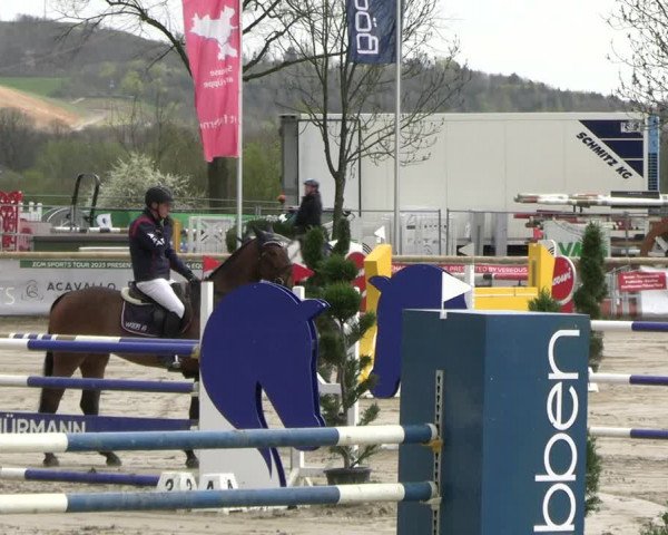 Reitturnier Werne-Lenklar 2023