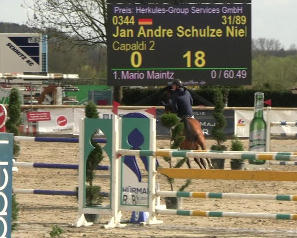 Reitturnier Werne-Lenklar 2023