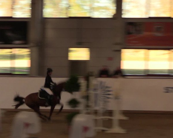 Reitturnier Prussendorf 2021