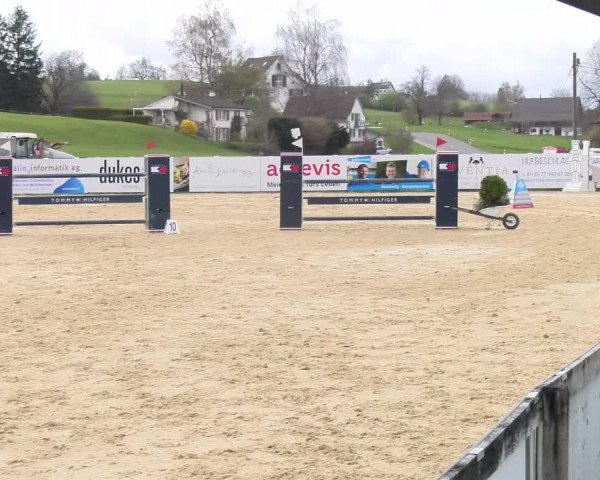 Reitturnier Wädenswil 2023