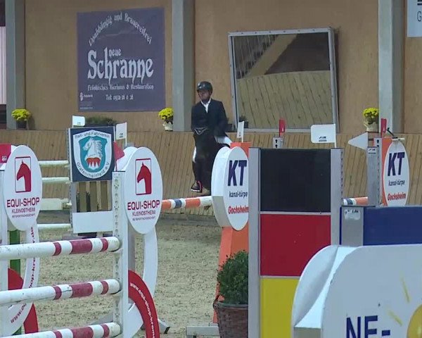 Reitturnier Grafenrheinfeld/Ufr. 2021