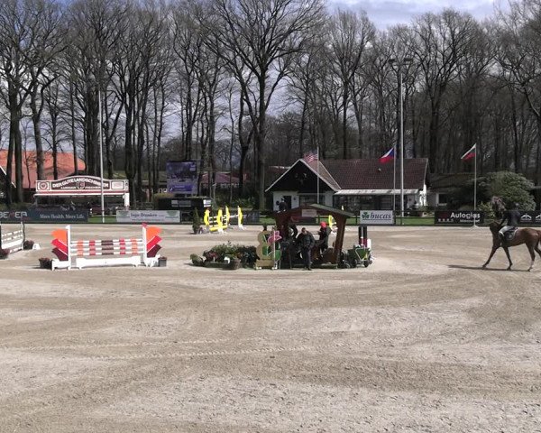 Reitturnier Klein Roscharden 2023