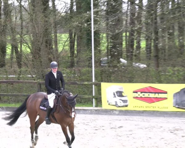 Reitturnier Klein Roscharden 2023