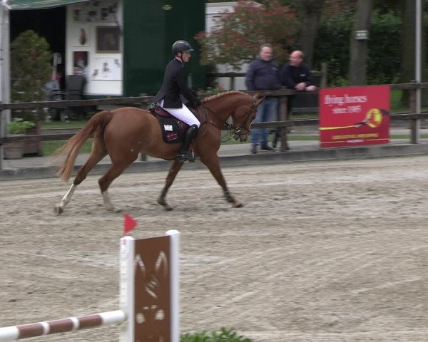 Reitturnier Klein Roscharden 2023