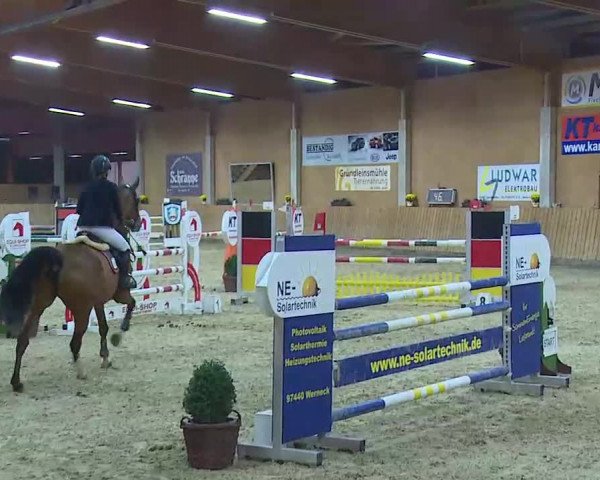 Reitturnier Grafenrheinfeld/Ufr. 2021