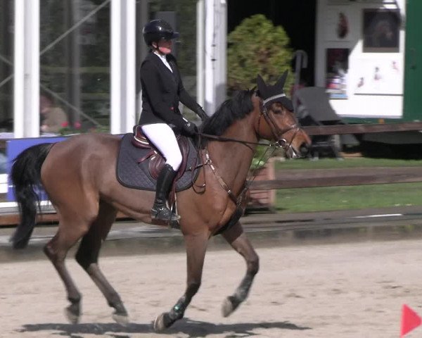 Reitturnier Klein Roscharden 2023