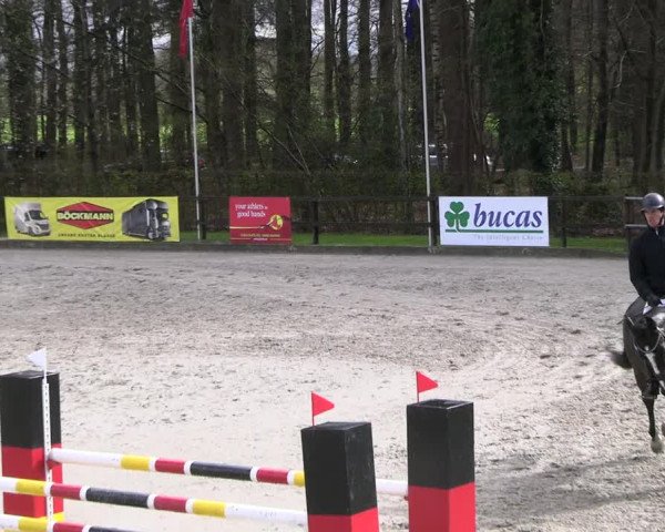 Reitturnier Klein Roscharden 2023