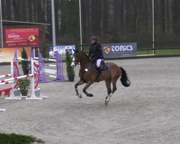Reitturnier Klein Roscharden 2023