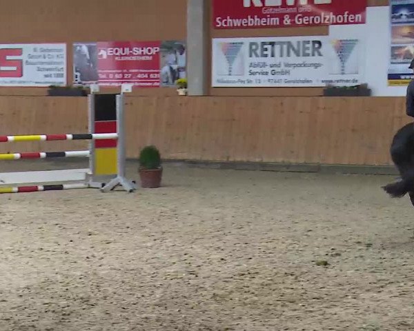 Reitturnier Grafenrheinfeld/Ufr. 2021