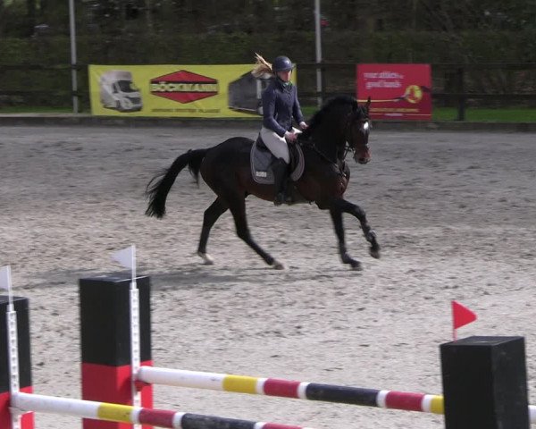 Reitturnier Klein Roscharden 2023