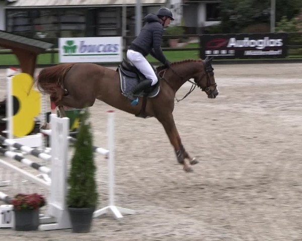 Reitturnier Klein Roscharden 2023