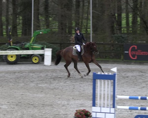Reitturnier Klein Roscharden 2023