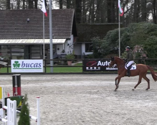 Reitturnier Klein Roscharden 2023
