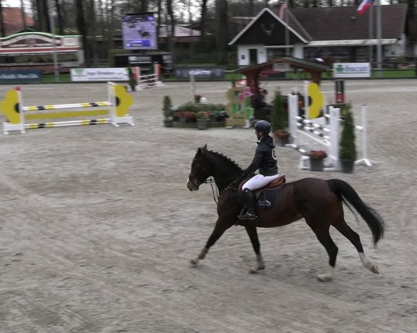 Reitturnier Klein Roscharden 2023