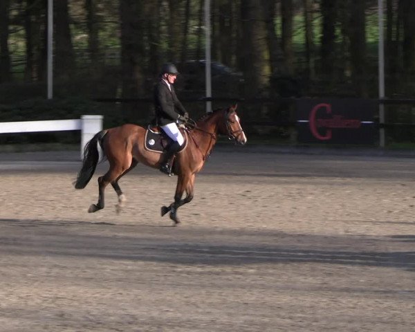 Reitturnier Klein Roscharden 2023