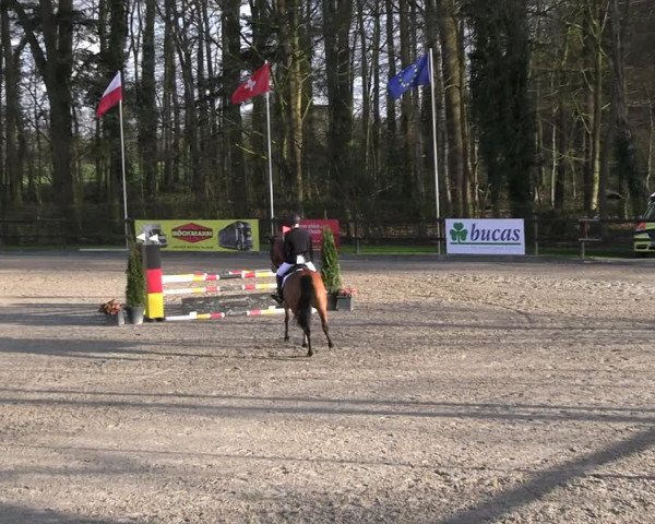 Reitturnier Klein Roscharden 2023