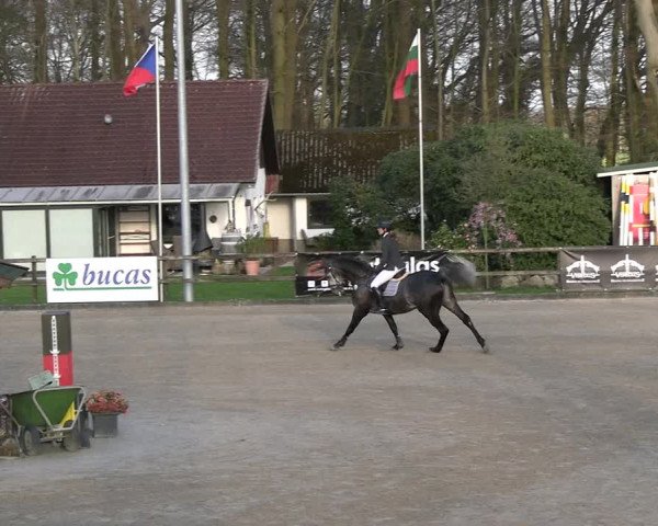 Reitturnier Klein Roscharden 2023