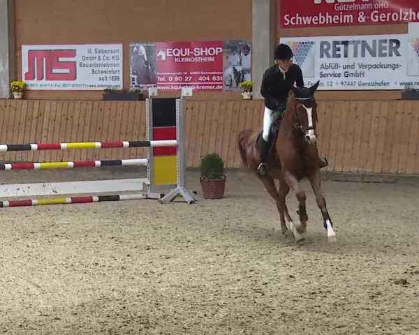 Reitturnier Grafenrheinfeld/Ufr. 2021
