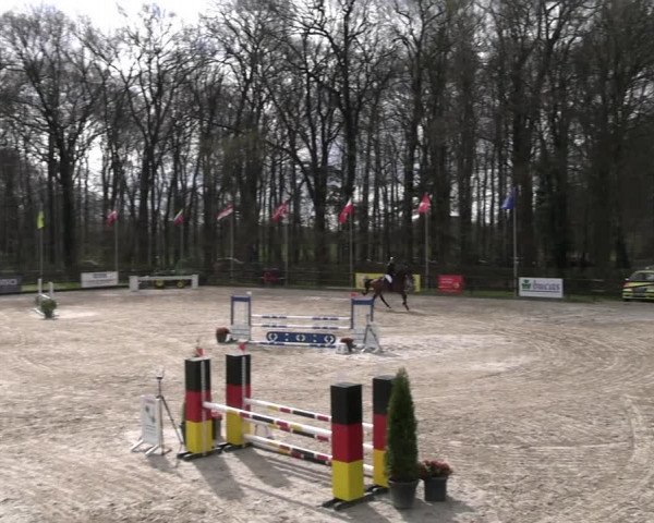 Reitturnier Klein Roscharden 2023