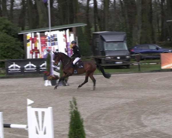 Reitturnier Klein Roscharden 2023