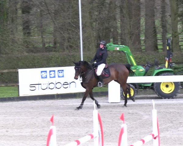 Reitturnier Klein Roscharden 2023