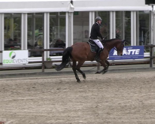 Reitturnier Klein Roscharden 2023