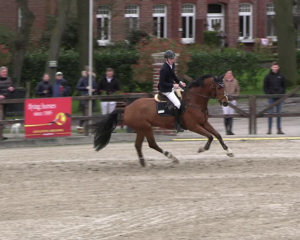 Reitturnier Klein Roscharden 2023
